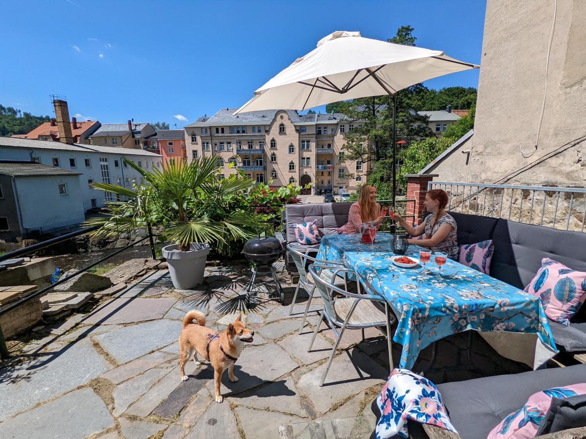 F1 - Urlaubsmagie - Helle Wohnung Mit Sauna & Pool & Whirlpool Sebnitz Eksteriør bilde