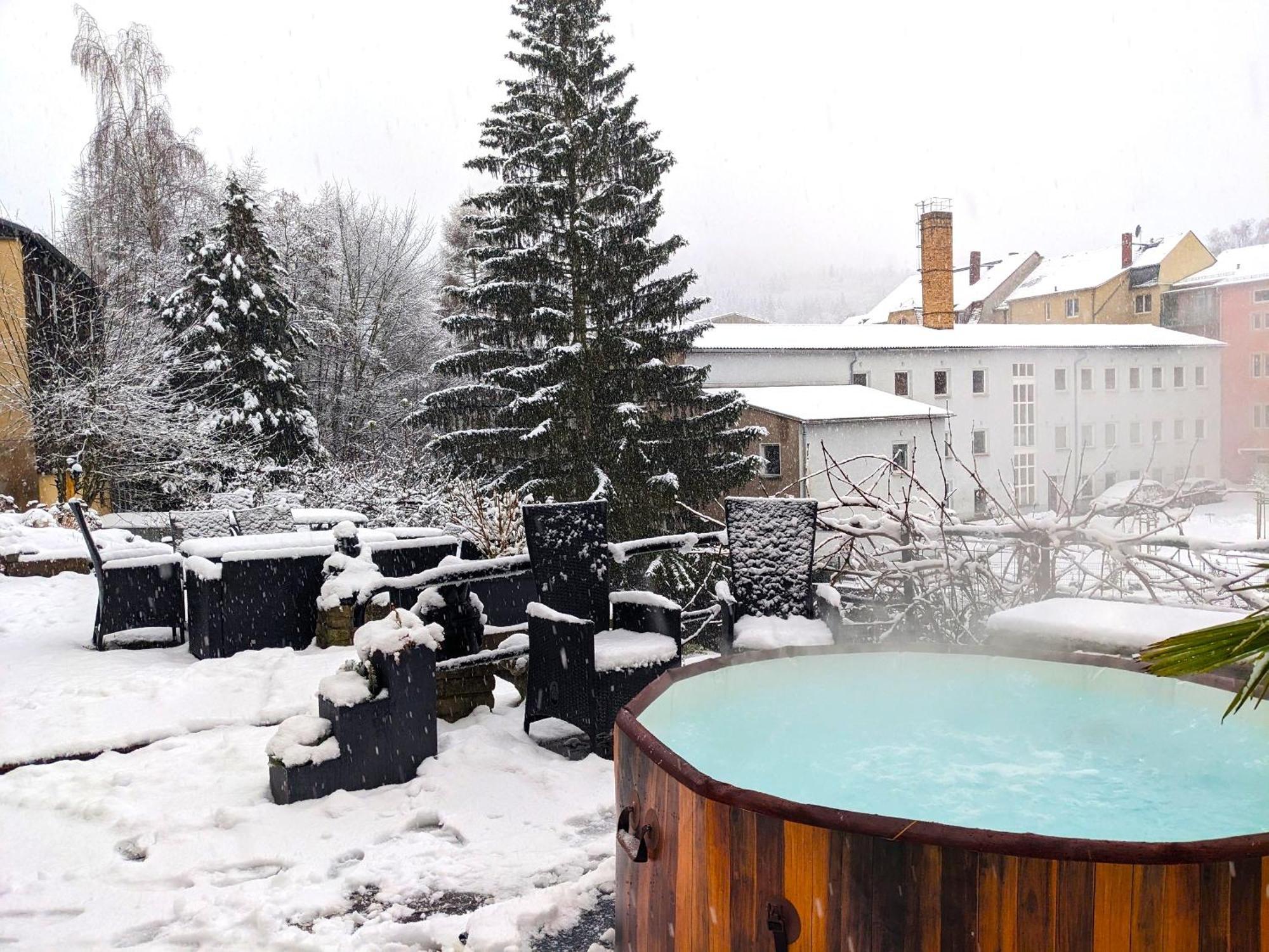F1 - Urlaubsmagie - Helle Wohnung Mit Sauna & Pool & Whirlpool Sebnitz Eksteriør bilde