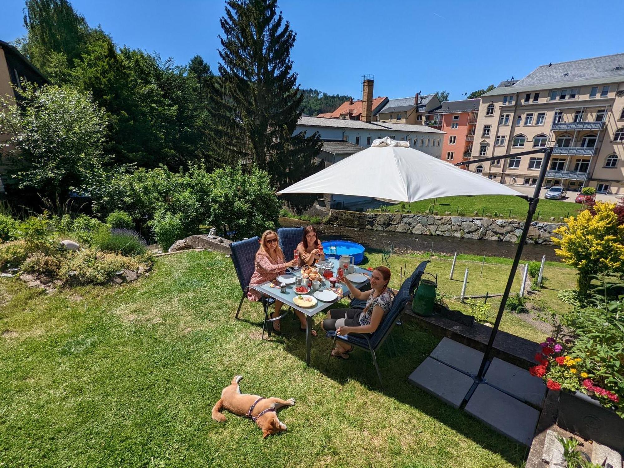 F1 - Urlaubsmagie - Helle Wohnung Mit Sauna & Pool & Whirlpool Sebnitz Eksteriør bilde