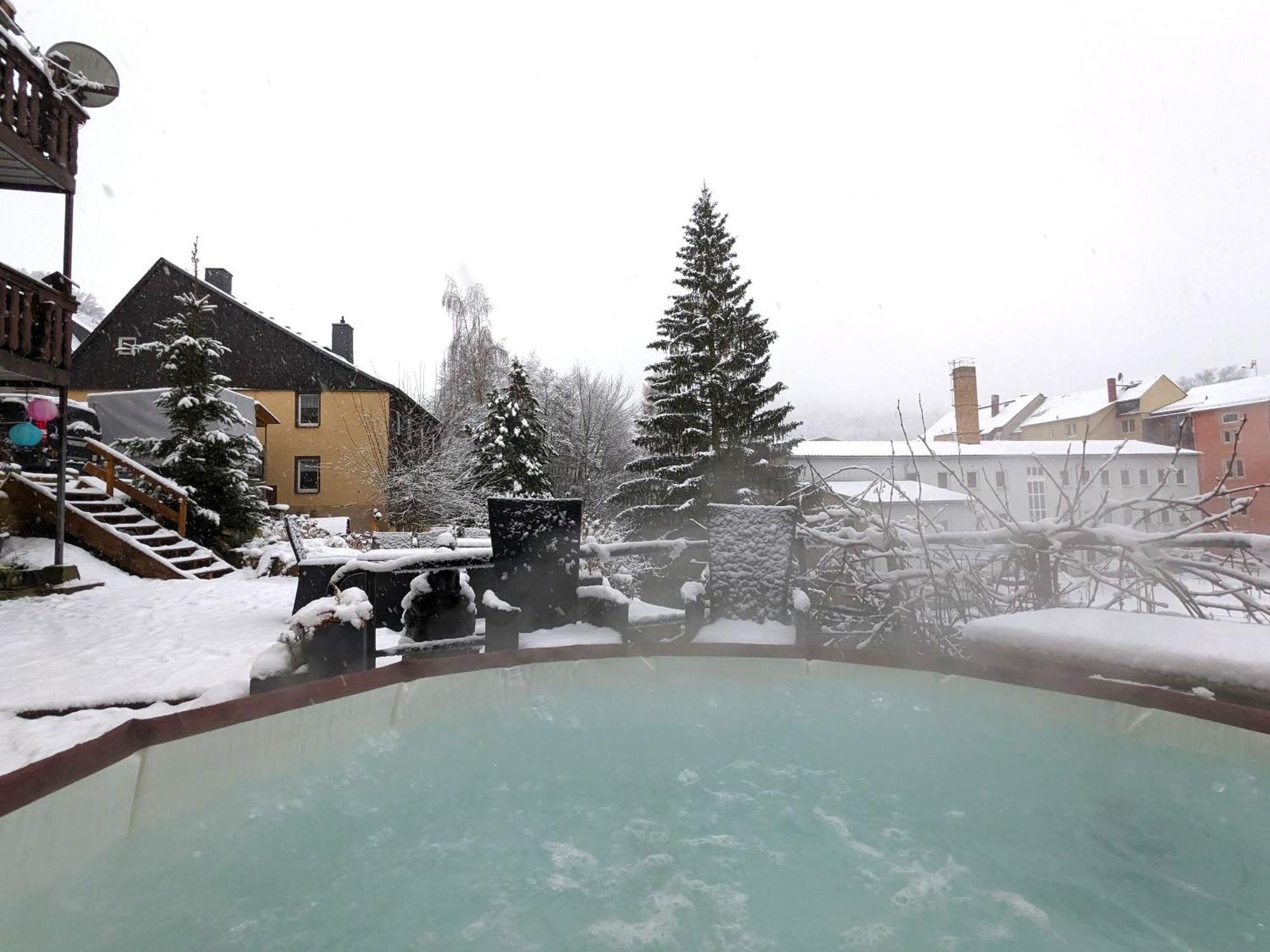 F1 - Urlaubsmagie - Helle Wohnung Mit Sauna & Pool & Whirlpool Sebnitz Eksteriør bilde