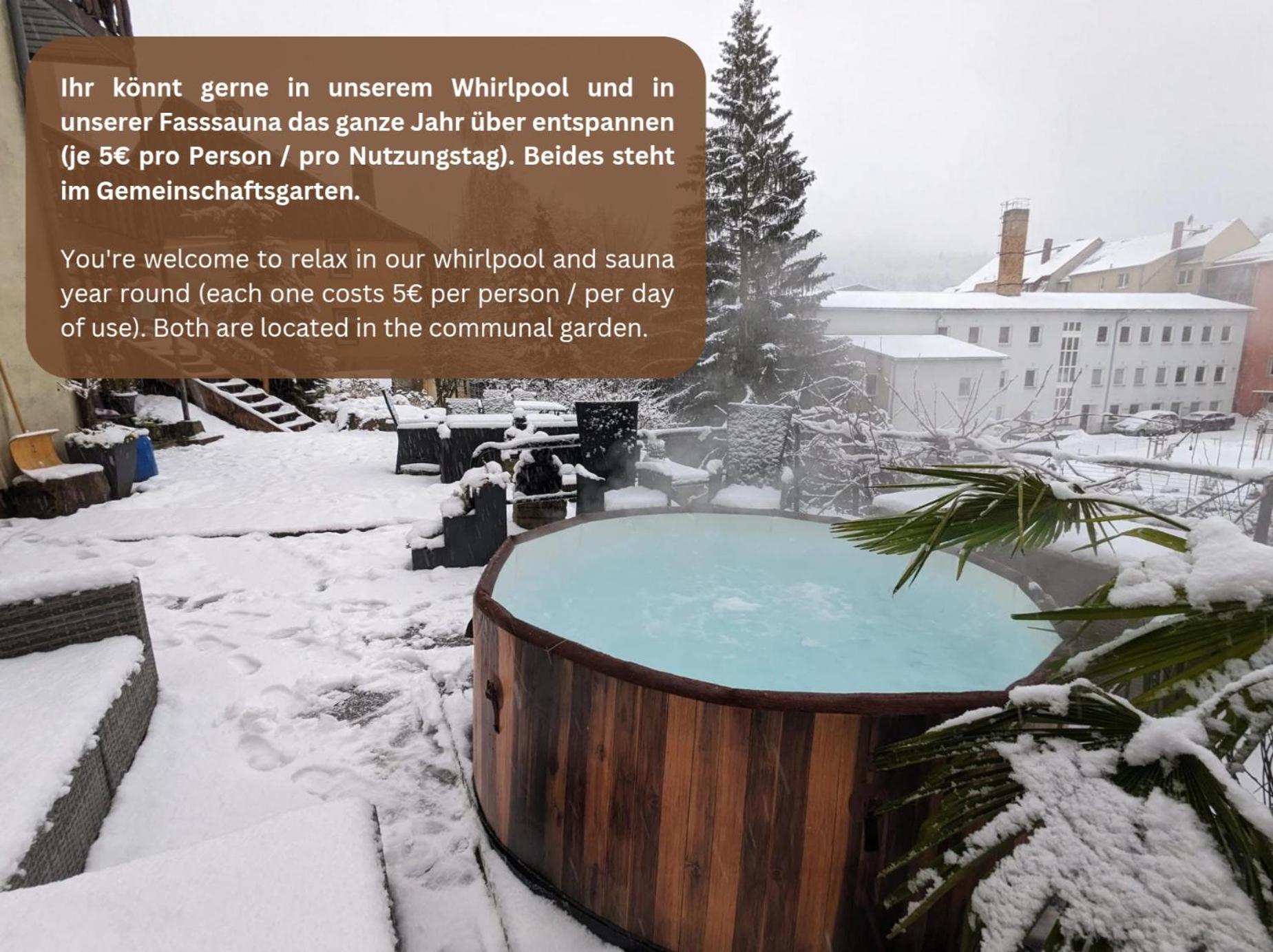 F1 - Urlaubsmagie - Helle Wohnung Mit Sauna & Pool & Whirlpool Sebnitz Eksteriør bilde